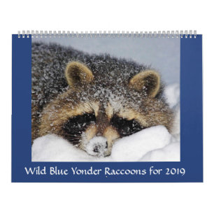 Calendário Salvamento e libertação de Raccoon em Wild Blue 