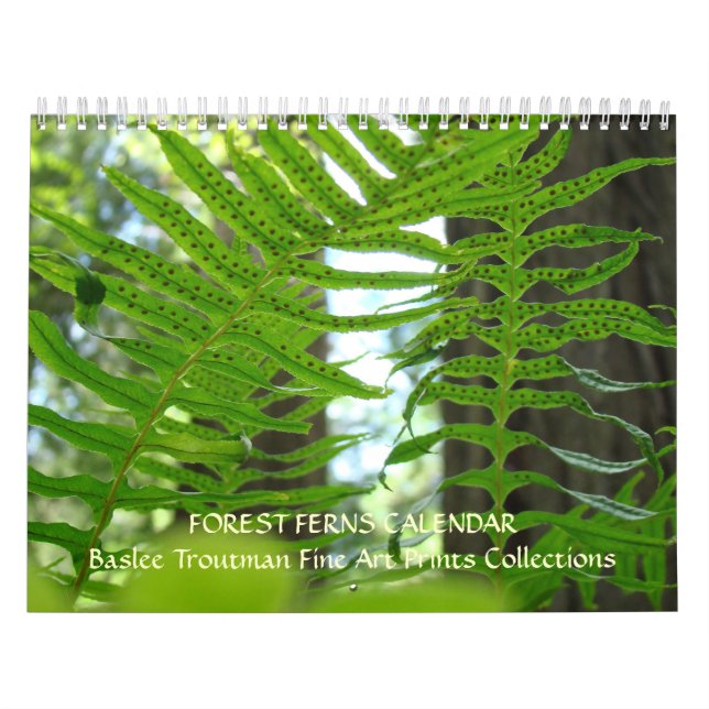 Calendário Samambaias da floresta da sequóia vermelha do (Capa)