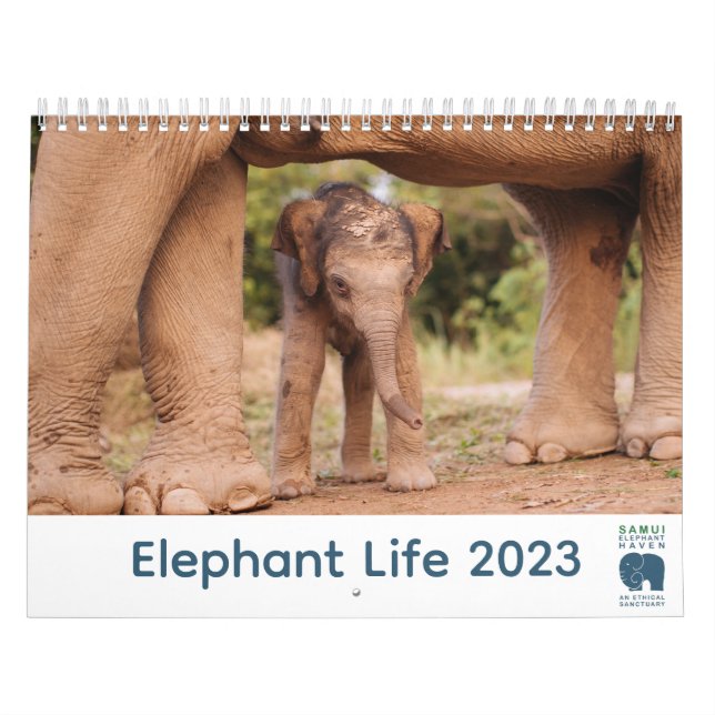Calendário Samui Elephant Haven Calendar 2023 (Capa)