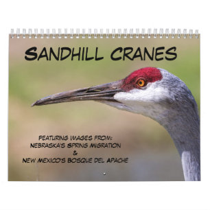 Calendário Sandhill Cranes