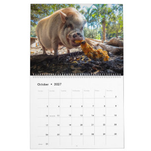 Calendário Santuário Fazenda Paz 2027
