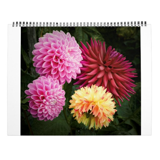 Calendário São Francisco Dahlias 2022 (Verso)