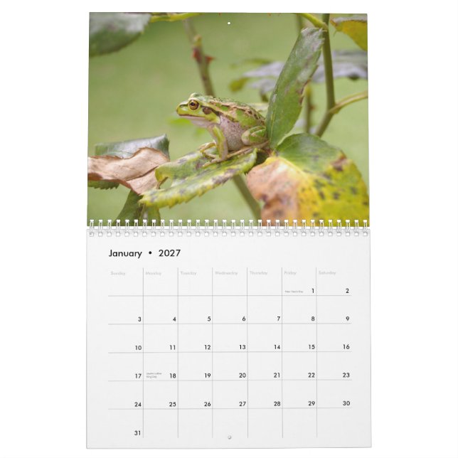 Calendário Sapos 2009 (Jan 2027)