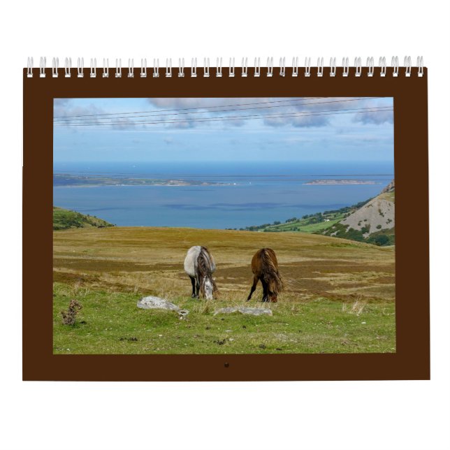Calendário Sarah Woodbury's Carnedau Ponies (Verso)