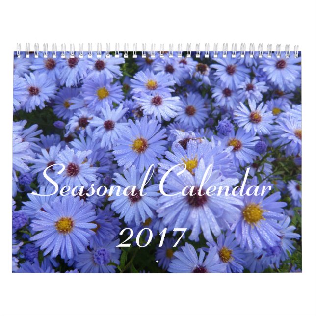 Calendário sazonal 2017 (Capa)