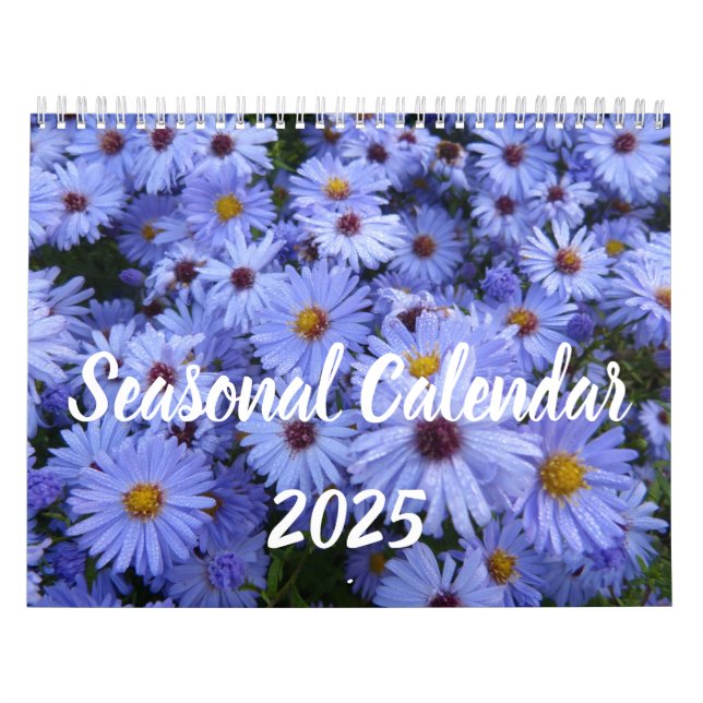 Calendário sazonal 2025 (Capa)