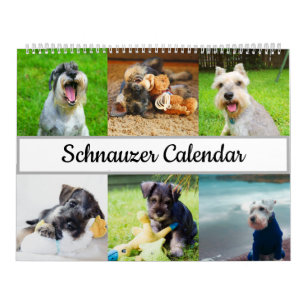 Calendário Schnauzer 2022