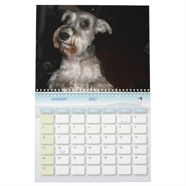Calendário Schnauzer Calander (Jan 2027)