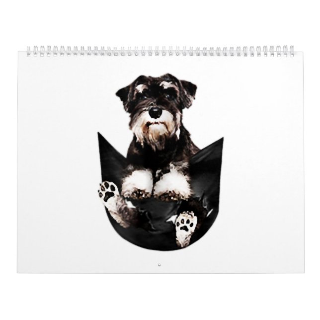 Calendário Schnauzer, no meu bolso, amantes de cãozinho (Capa)