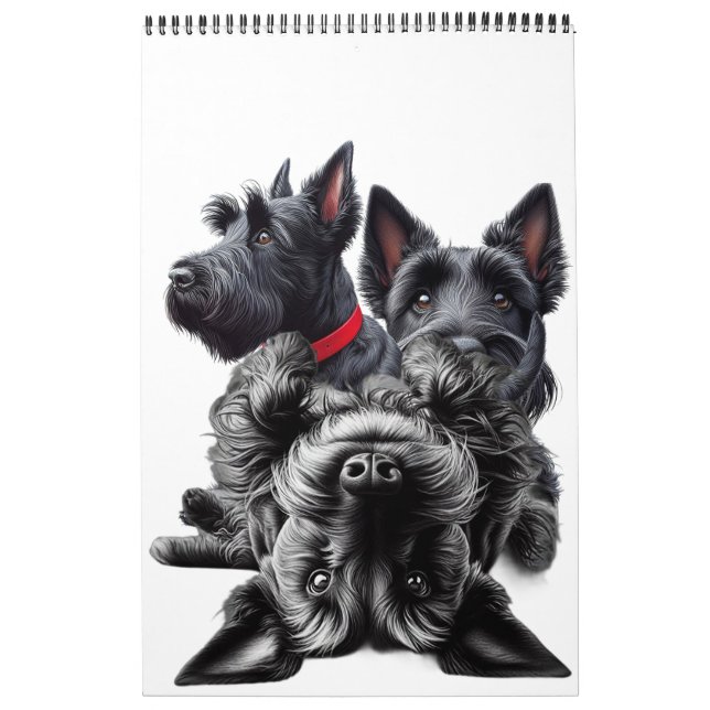 Calendário SCOTTISH TERRIER in (Capa)