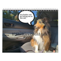 Se os Shelties pudessem falar