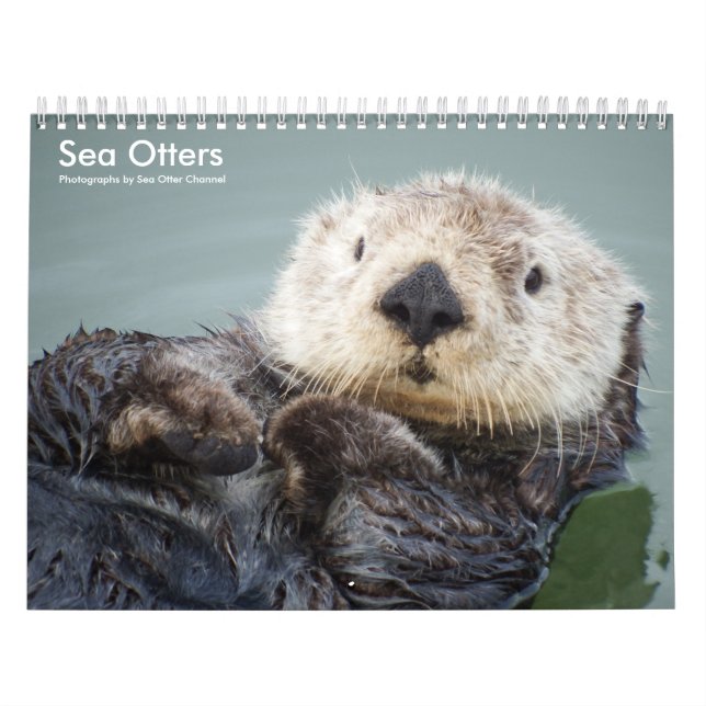 Calendário Sea Otter Channel Calendar #1 (Capa)
