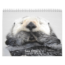 Calendário Sea Otter Channel Calendar #2
