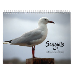 Calendário Seagulls 2026