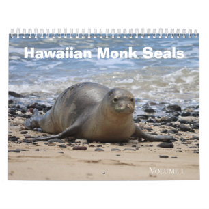 Calendário Seals monk havaianos