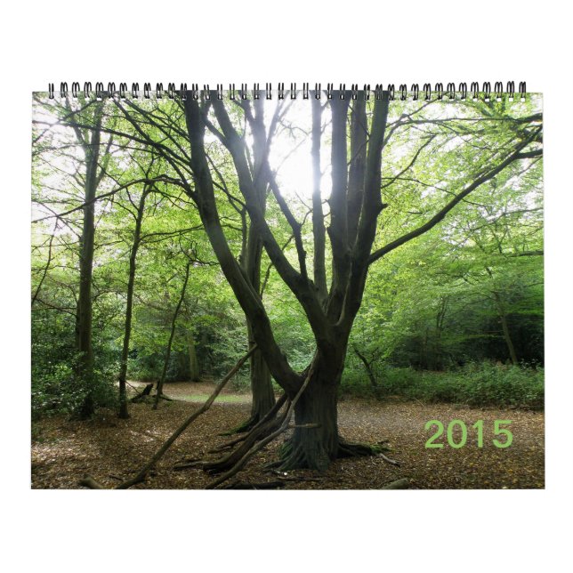Calendário Secret Wild London 2015 (Capa)