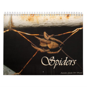 Calendário Segredos de uma aranha de jardim