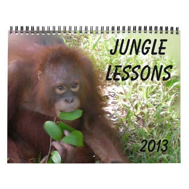 Calendário Selgle Lessons Wildlife Orangutans (Capa)
