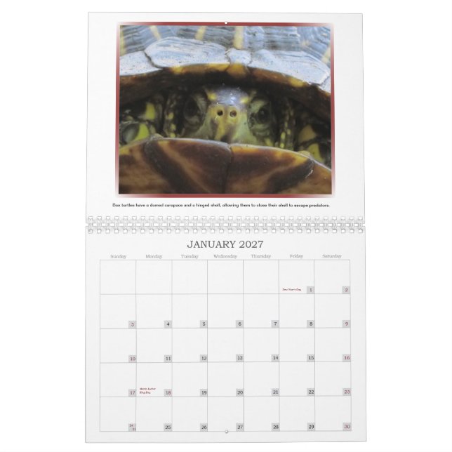 Calendário selvagem das caras 2013 (Jan 2027)