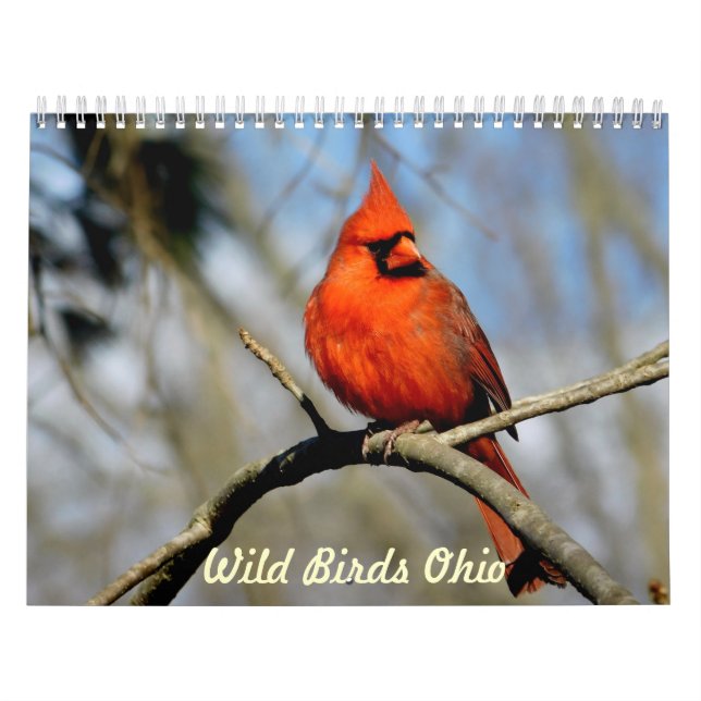 Calendário selvagem de Ohio dos pássaros (Capa)