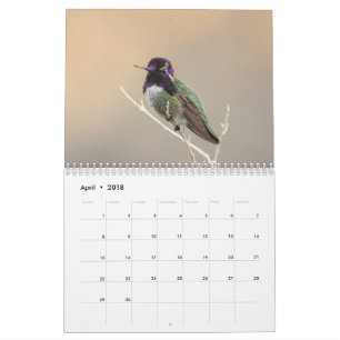 Calendário selvagem do pássaro 2018