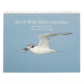 Calendário selvagem do pássaro 2018