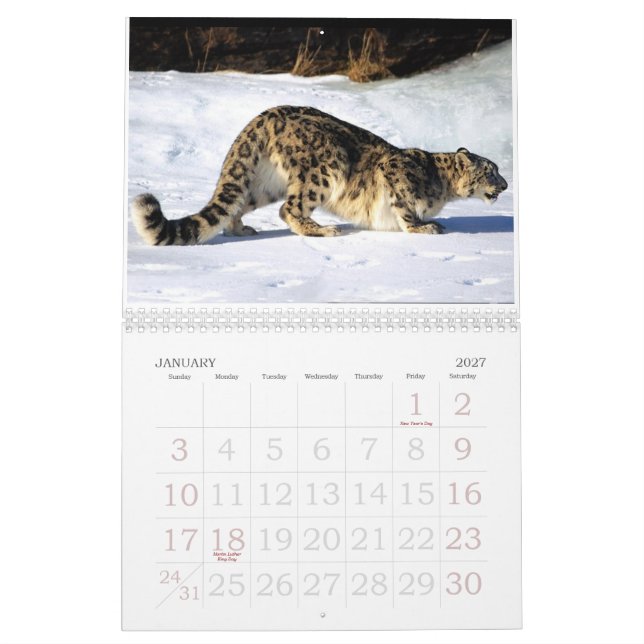 Calendário selvagem para um ano selvagem (Jan 2027)