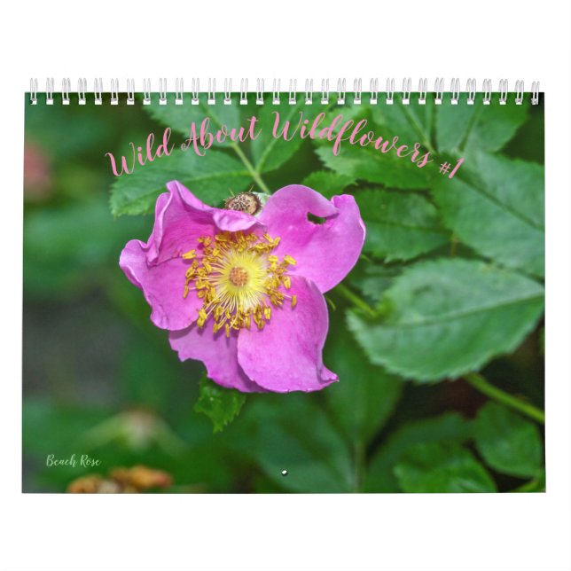 Calendário Selvagem Sobre Flores Selvagens #1 (Capa)