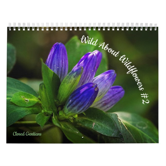 Calendário Selvagem Sobre Flores Selvagens #2 (Capa)