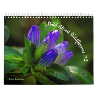 Calendário Selvagem Sobre Flores Selvagens #2