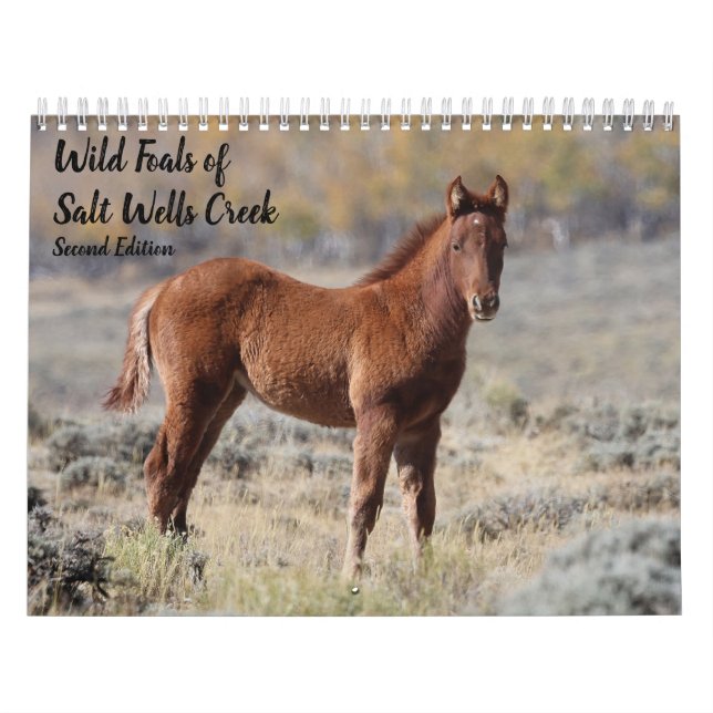 Calendário Selvagens de Salt Wells Creek (Capa)