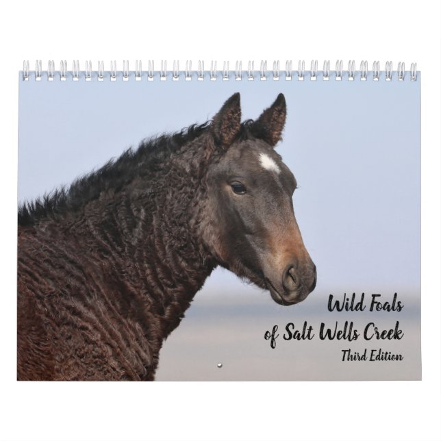 Calendário Selvagens de Salt Wells Creek (Capa)
