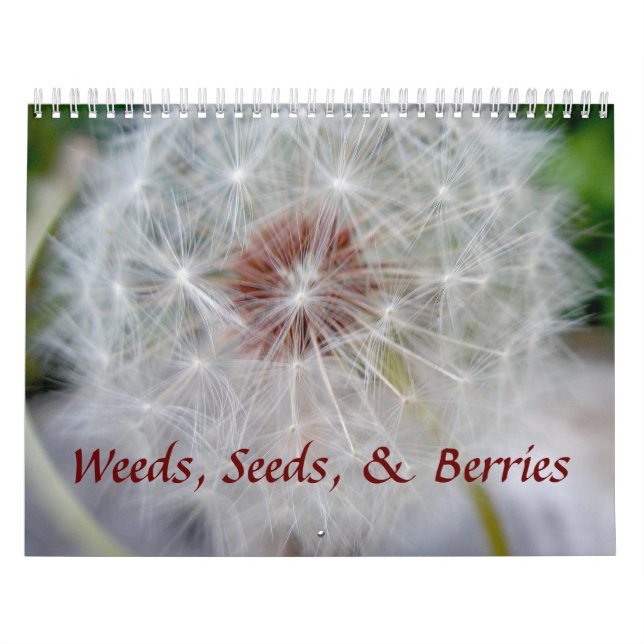 Calendário - Sementes de ervas daninhas e Berries (Capa)