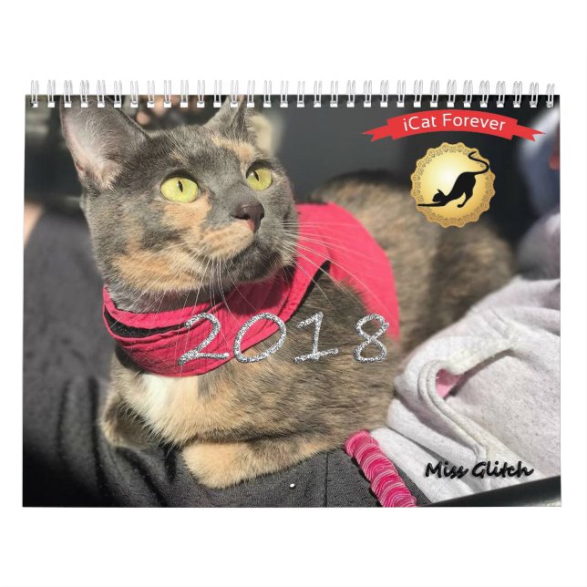 Calendário Sempre e para sempre (Capa)