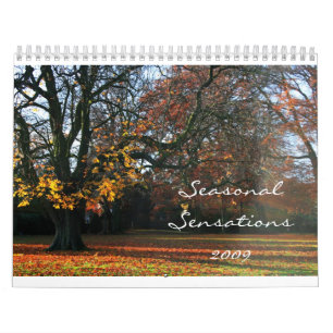 Calendário Sensações sazonais 2009