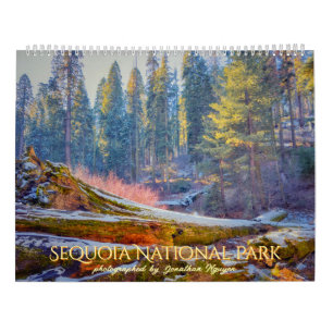 Calendário Sequoia National Park Forest Landscapes