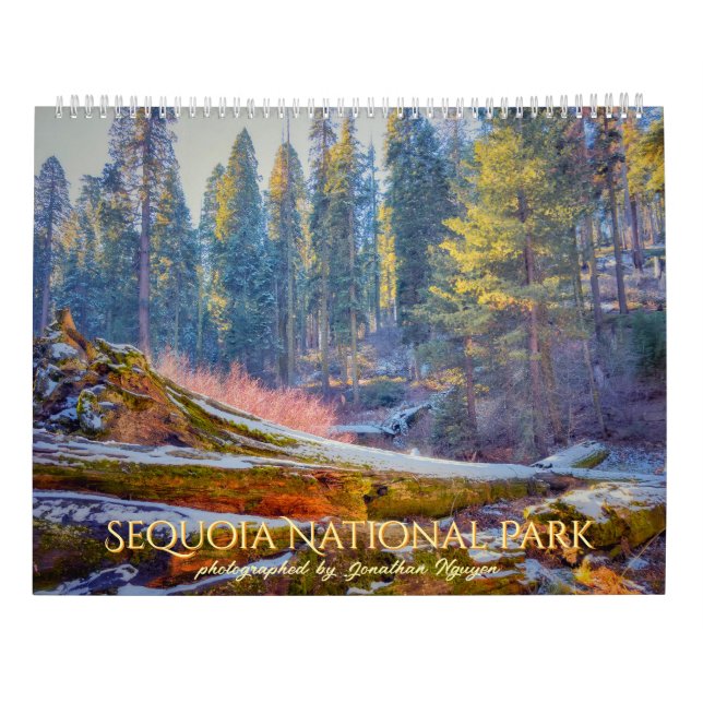 Calendário Sequoia National Park Forest Landscapes (Verso)