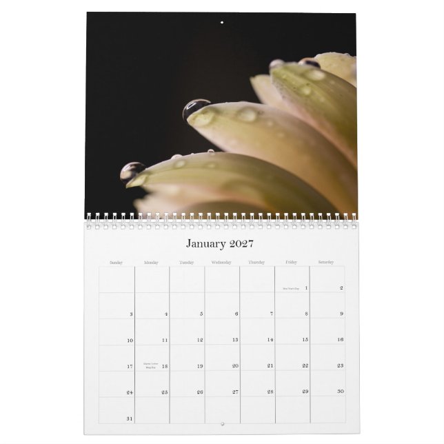 Calendário Série do Fim-acima da flor (Jan 2027)