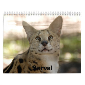 Calendário serval 017, Serval