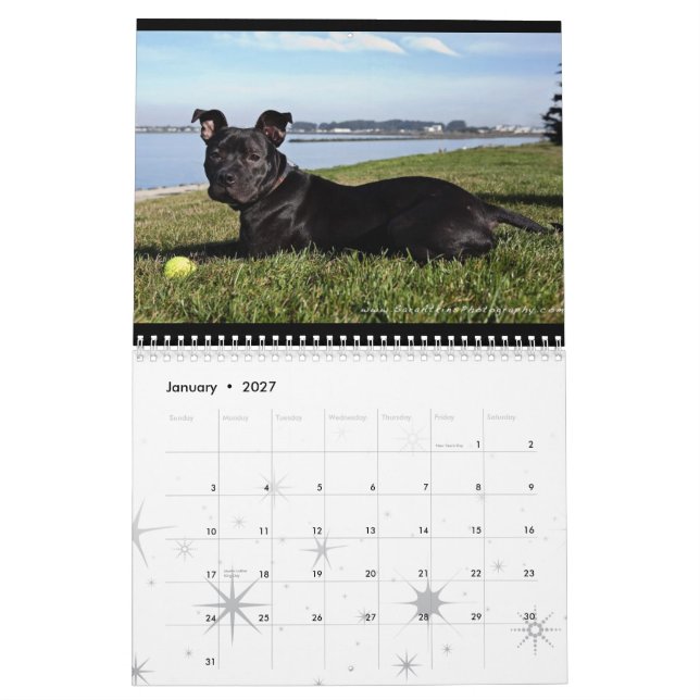 Calendário Serviços animais de Oakland - 2010 (Jan 2027)