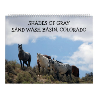 Calendário Shades of Gray Sand Wash Basin, Colorado
