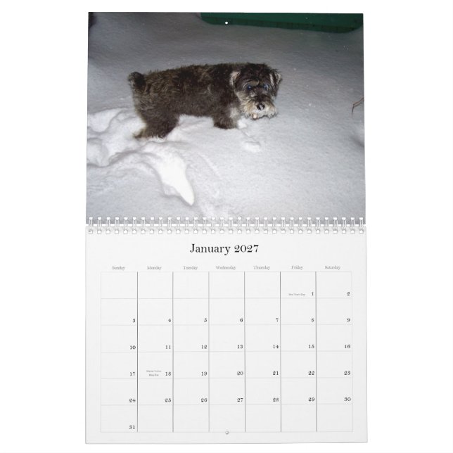 Calendário sHAMUS doce através do dayZ (Jan 2027)