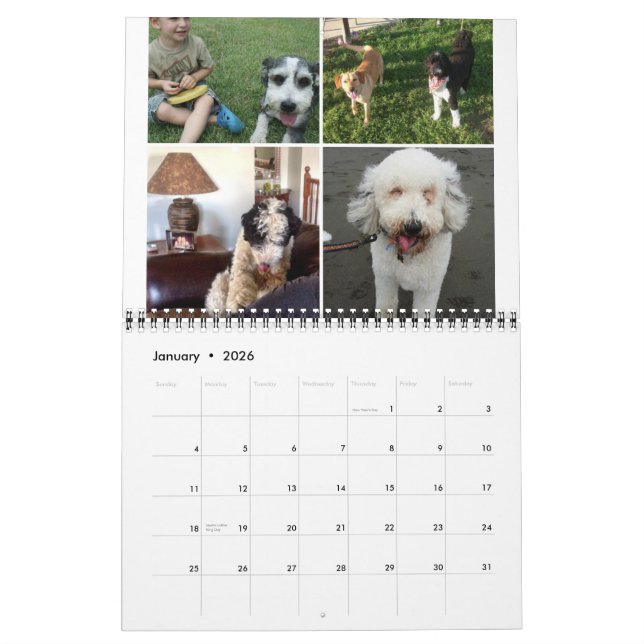Calendário Sheepadoodle 2014-2015 (Jan 2026)
