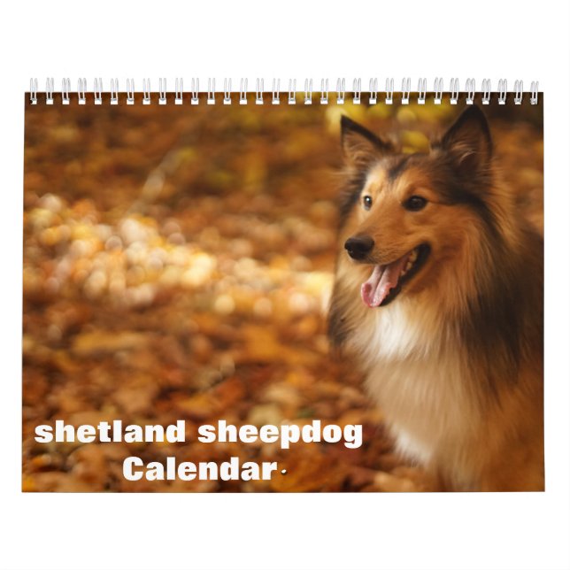 Calendário Shetland Sheepdog 2025 (Capa)