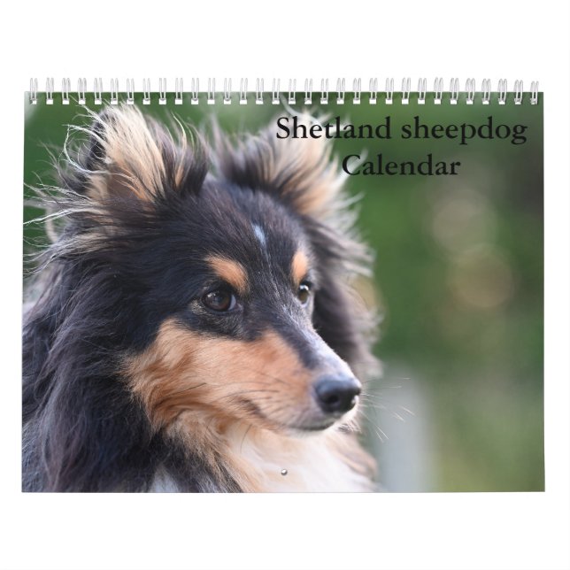 Calendário Shetland Sheepdog 2025 (Capa)
