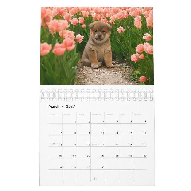 Calendário Shiba Inu Puppies (Mar 2027)