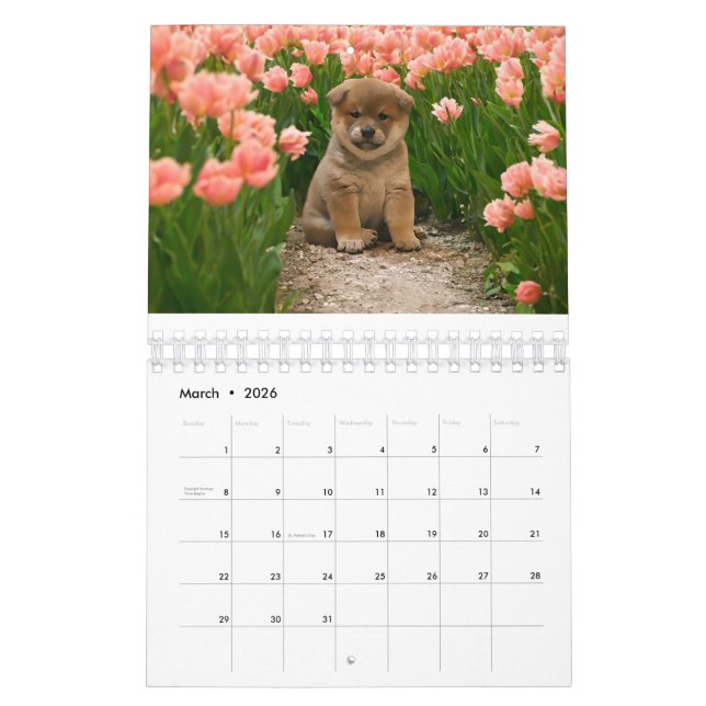 Calendário Shiba Inu Puppies (Mar 2026)