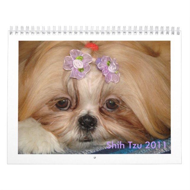 Calendário Shih Tzu (Capa)