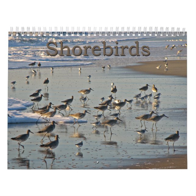 Calendário Shorebirds atlânticos (Capa)