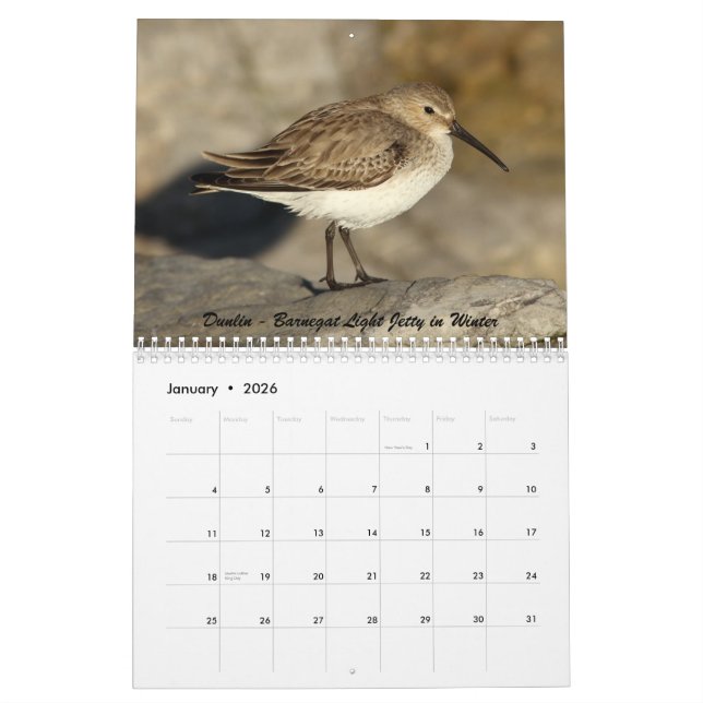 Calendário Shorebirds de New-jersey (Jan 2026)